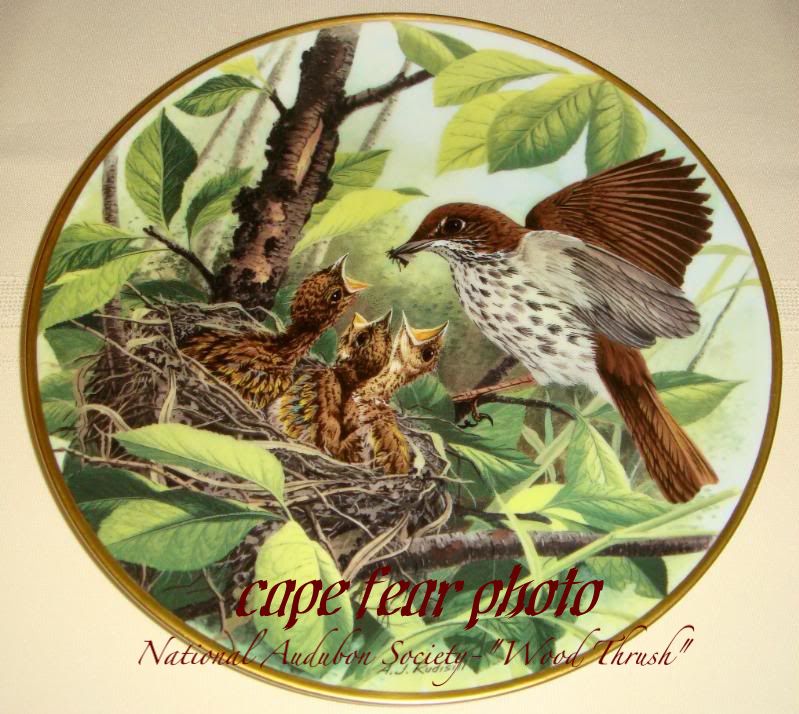 RUDISILL Audubon Society WOOD THRUSH 83 Heirloom Plate  