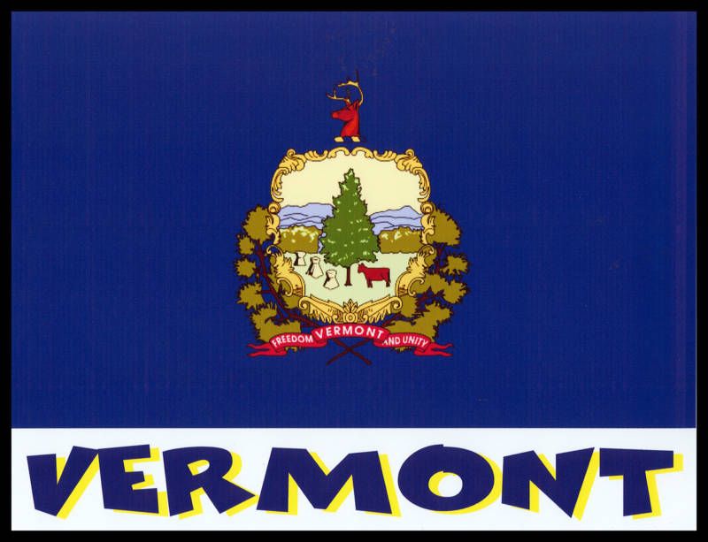 Vermont State Flag T Shirt New 8 Sizes 3 Colors  