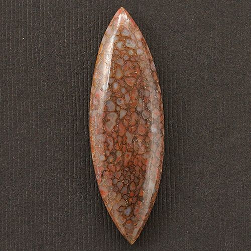 Petrified Dinosaur Bone Cabochon C2092  