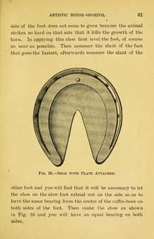 how to Guides on HORSE SHOEING   24 books on dvd  