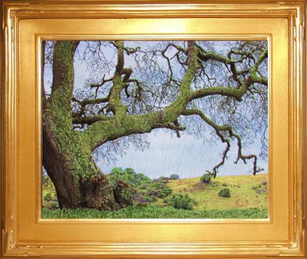 Old Valley Oak Mission Arts and Crafts Original Print  