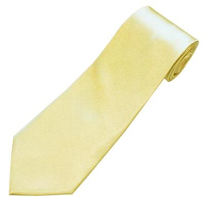 DQT HIGH QUALITY MENS BOYS SKINNY WEDDING TIE NECKTIE  