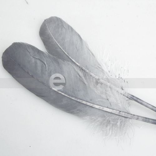 50pcs Grey Duck Feather 4 8optional colors wedding decorations NEW 