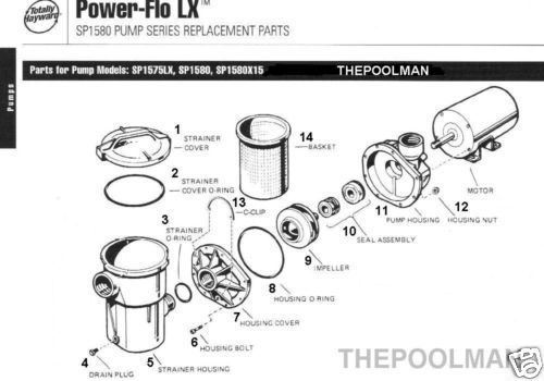 New Hayward LX Pool Pump Strainer O ring SPX1500W  