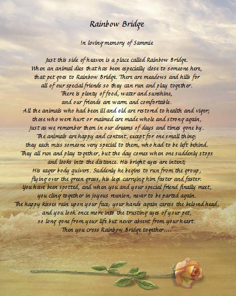 Rainbow Bridge Loss Of Pet Memorial Personalized Poem  