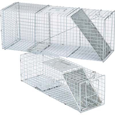 Raccoon, Squirrel, Skunk Live Animal Traps 2 Pk.  