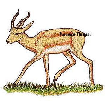 Dorcas Gazelle Deer Buck Iron On Patch Embroidered  