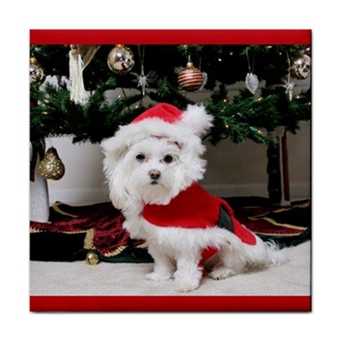Christmas Santa Puppy Under Tree Ceramic Tile  